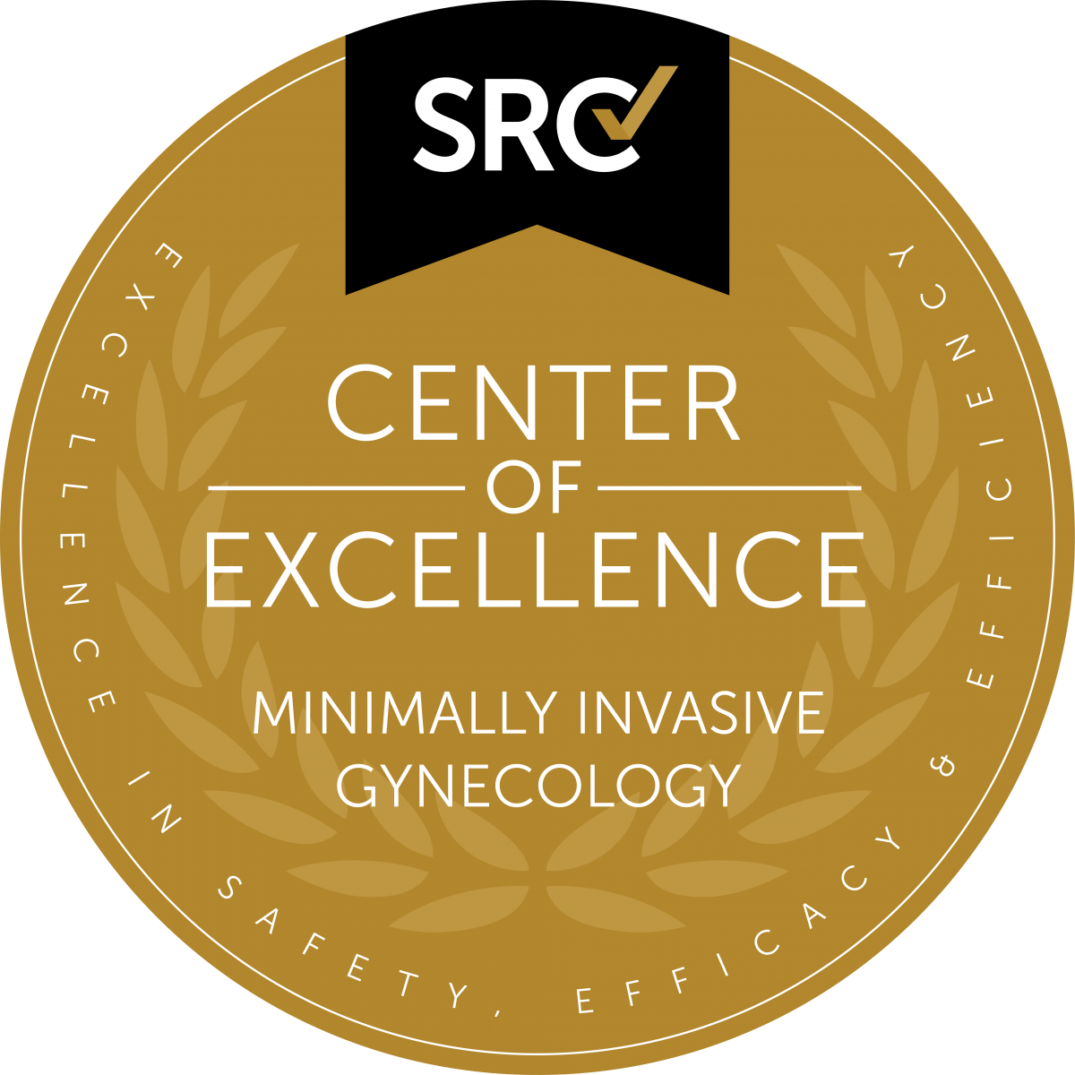 Center of excellence minimally invasive