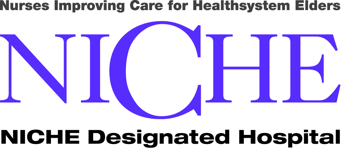 NICHE logo
